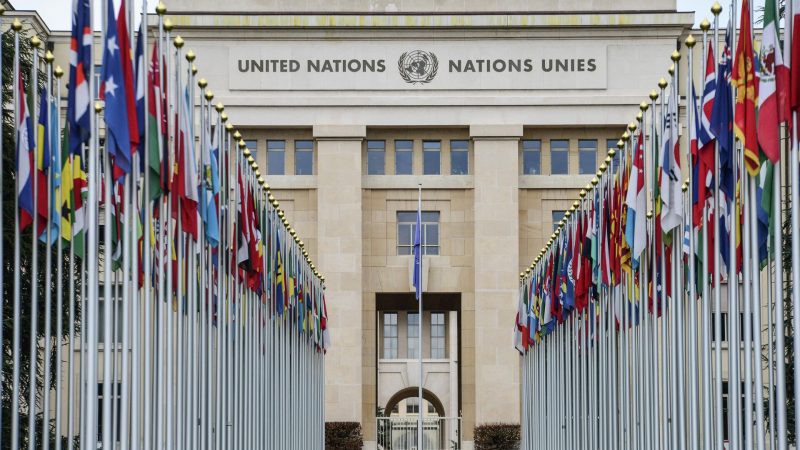 В ООН повідомили що присутність українців принесла Польщі у 8,5 раза більше прибутку ніж витрат