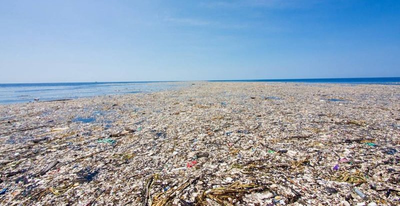 У США знайдено регіон із високим рівнем “вічних хімікатів”