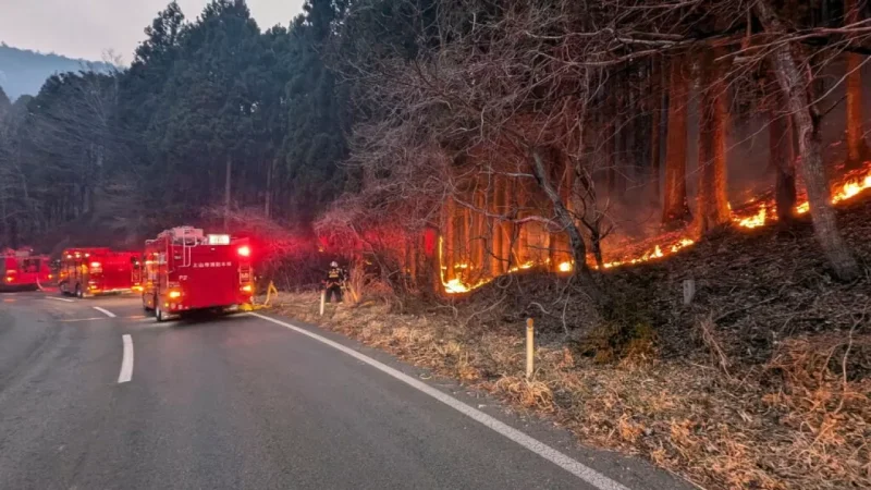 У Японії масштабна пожежа знищила квартал
