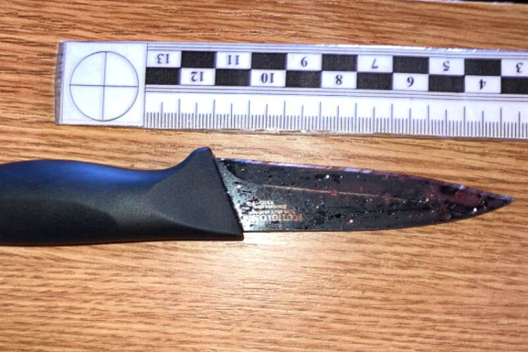 Напад на військових у Чернівецькій області: затримано агресора